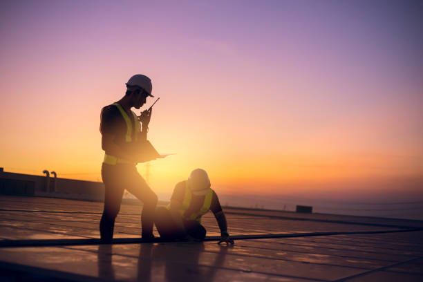 Best Roof Moss and Algae Removal  in El Dorado Springs, MO