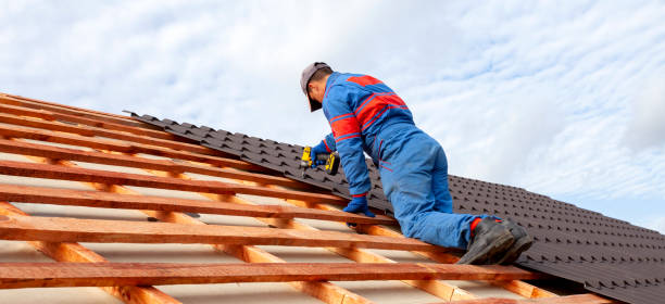 Sheet Metal Roofing in El Dorado Springs, MO